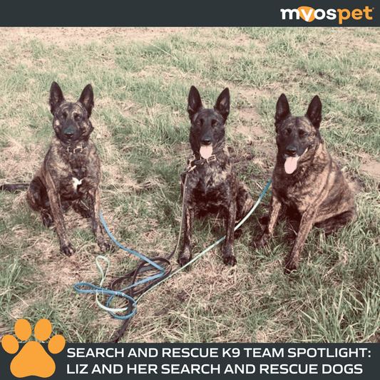 Brave Tails: Search and Rescue K9 Duo Spotlight: Liz and Her Incredible Pack of Dogs