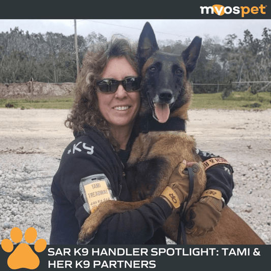 Searching with Purpose: Tami & Her K9 Partners