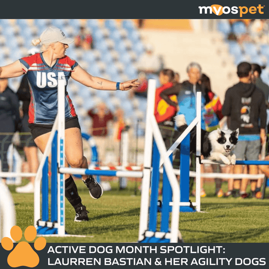 Active Dog Month Spotlight: Laurren Bastian & Her Agility Dogs