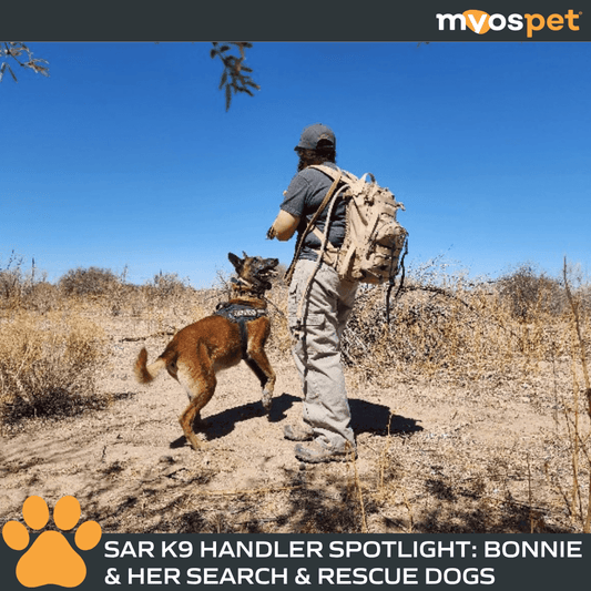 Teamwork Beyond Words: Bonnie & Her SAR Dogs