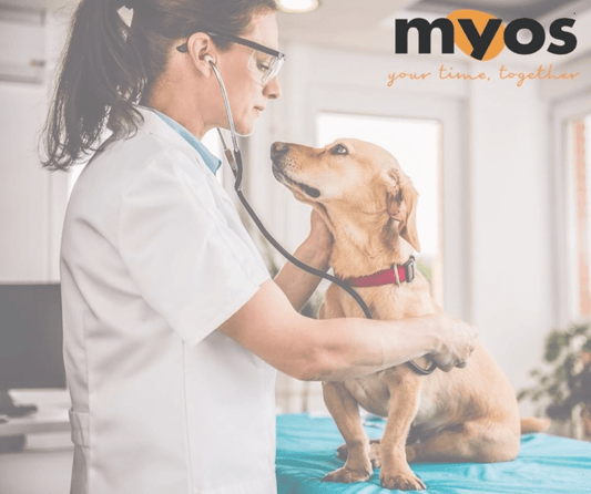 MYOS Veterinary CE Course Announced for December