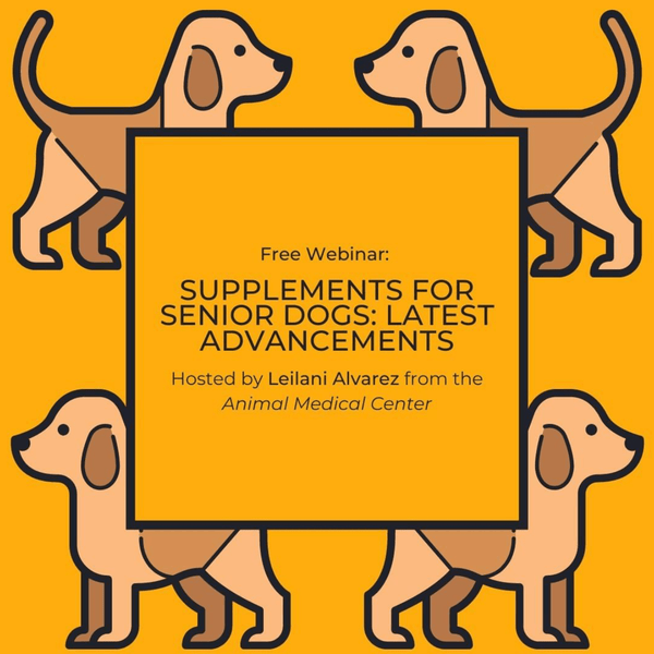 MYOS Veterinary Webinar Series: Supplements for Senior Dogs & The Latest Advancements