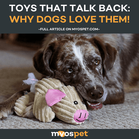 Toys That Talk Back: Why Dogs Love Them!