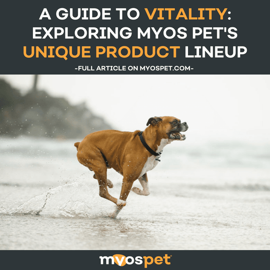 A Guide to Vitality: Exploring MYOS Pet's Unique Product Lineup