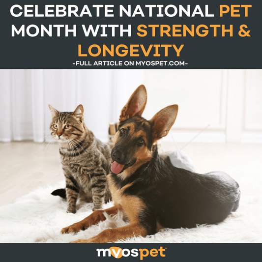 Celebrate National Pet Month with Strength & Longevity
