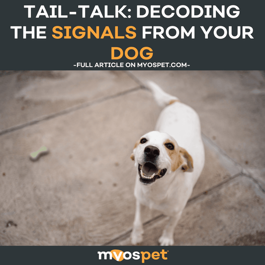 Tail-Talk: Decoding the Signals from Your Dog