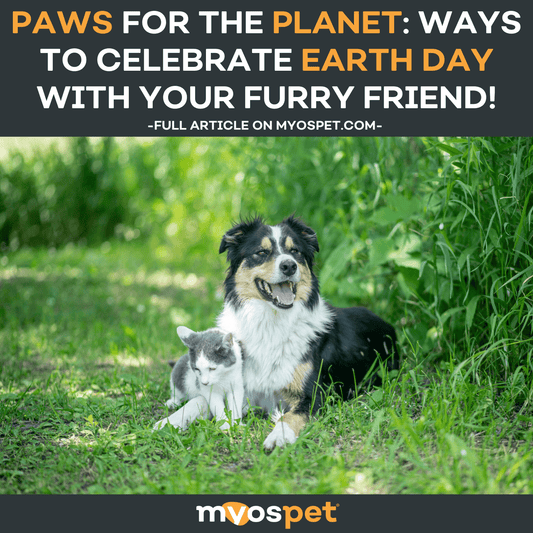 Paws for the Planet: Ways to Celebrate Earth Day with your Furry Friend!
