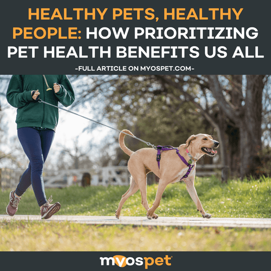 Healthy Pets, Healthy People: How Prioritizing Pet Health Benefits Us All