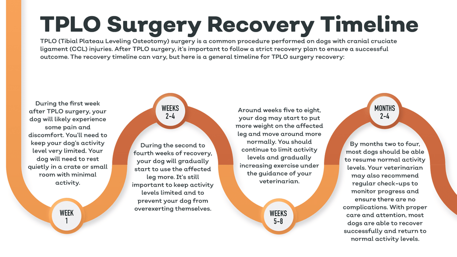 TPLO Surgery – A Timeline for Recovery