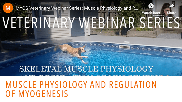 MYOS Veterinary Webinar Series:Muscle Physiology and Regulation of Myogenesis
