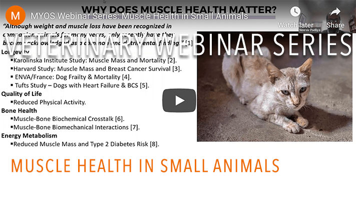 MYOS Webinar Series: Muscle Health in Small Animals