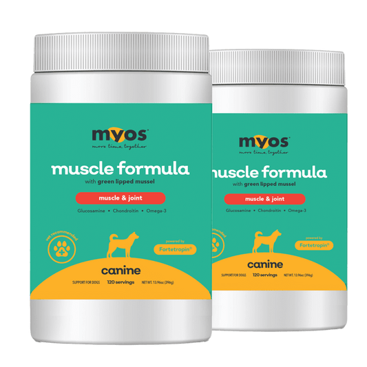 Canine Muscle & Joint Formula Bundle 396 g Dog Supplements myospet.com 
