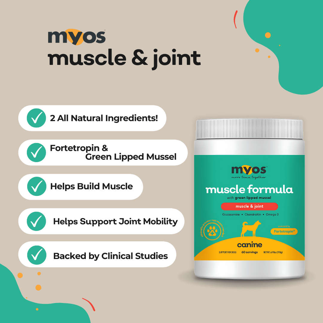 Canine Muscle & Joint Formula 198 g Dog Supplements myospet.com 