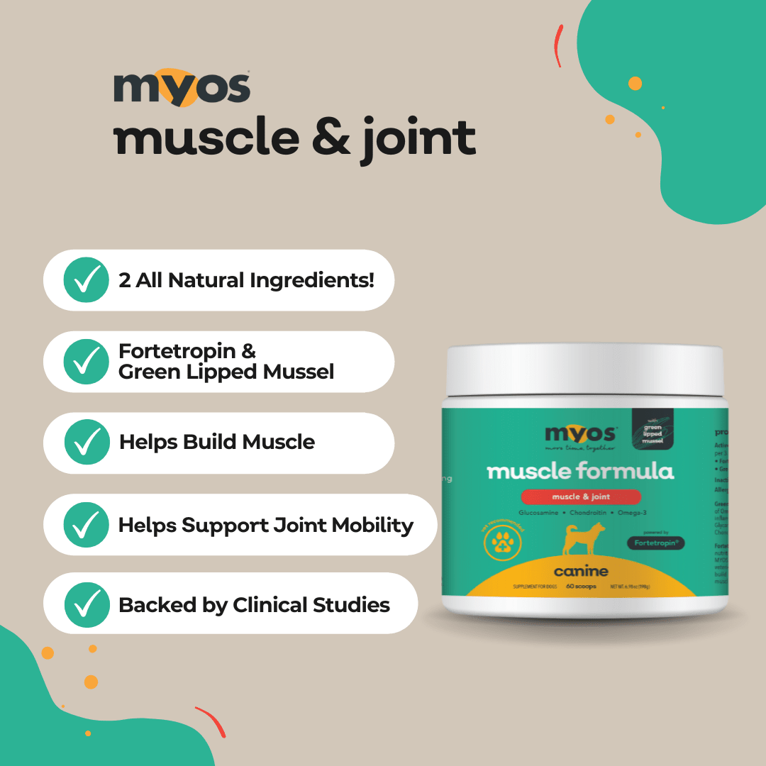 Canine Muscle & Joint Formula 198 g Dog Supplements Myos Pet 