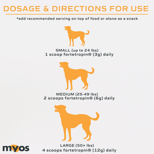 MYOS Canine Muscle Formula 6.35 oz Dog Supplements myospet.com 