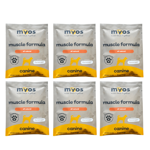 MYOS Canine Muscle Formula Samples Pet Supplies Myos Vet 