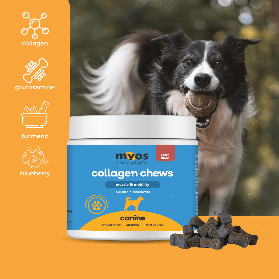MYOS Muscle & Mobility Collagen Chew for Dogs
