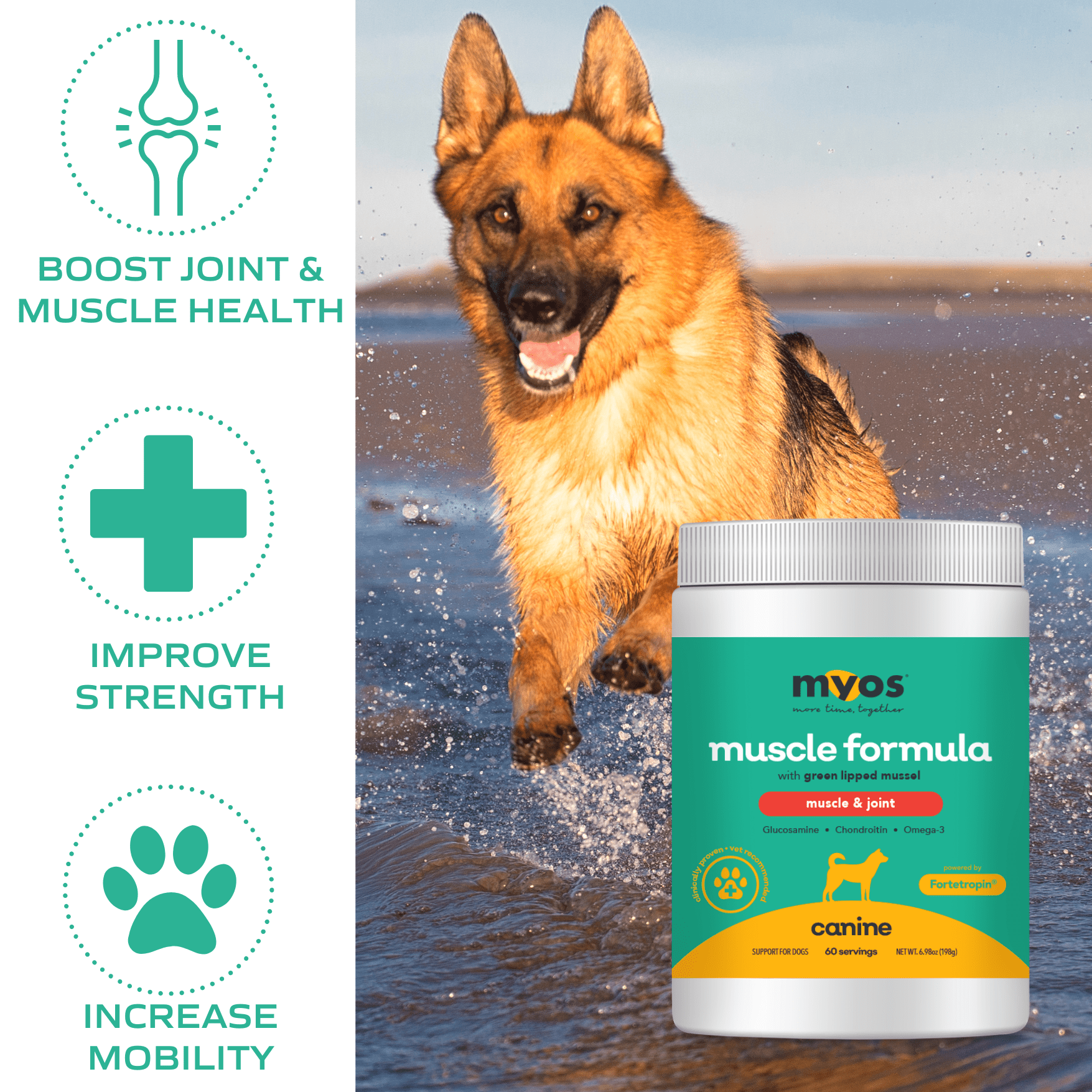 Canine Muscle & Joint Formula 198 g Dog Supplements myospet.com 