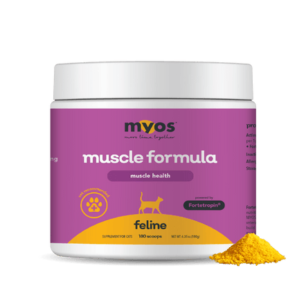 Feline Muscle Formula Cat Supplements Myos Pet 