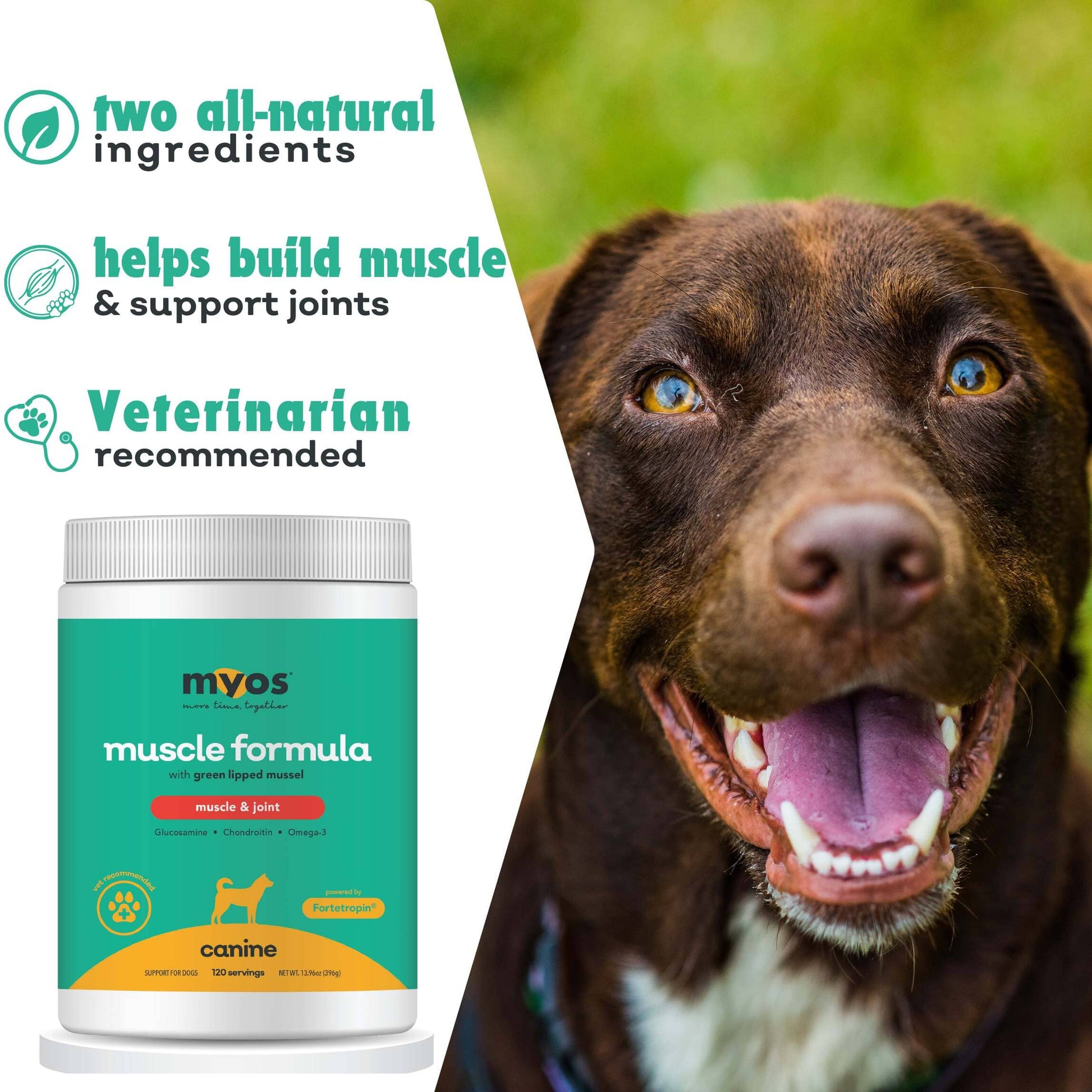 Canine Muscle & Joint Formula Dog Supplements Myos Pet 