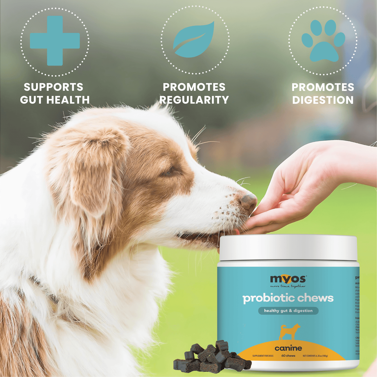 Canine Probiotic Chews Dog Supplements Myos Pet 