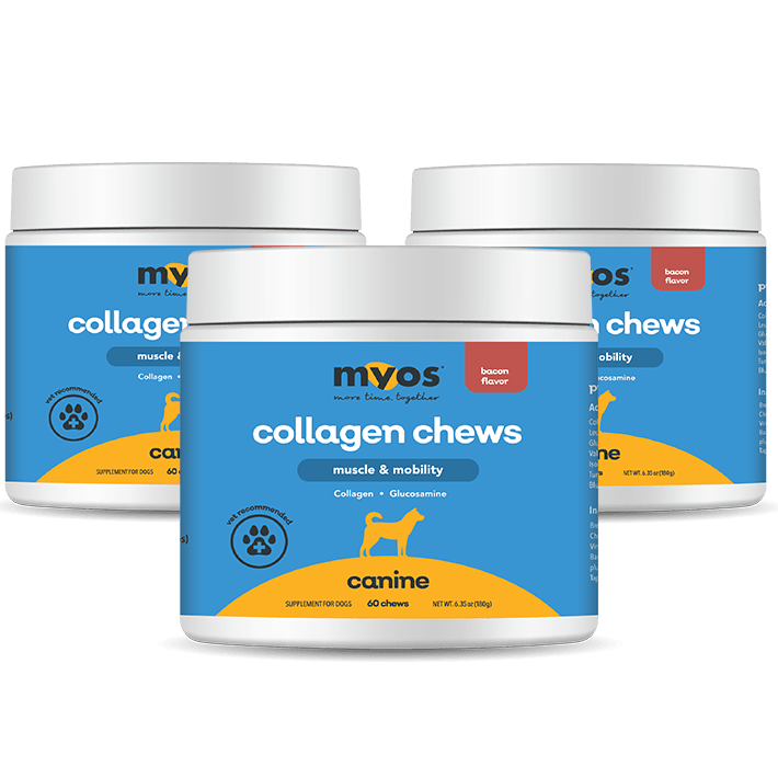 Canine Muscle & Mobility Collagen Chew Dog Supplements Myos Pet 3 