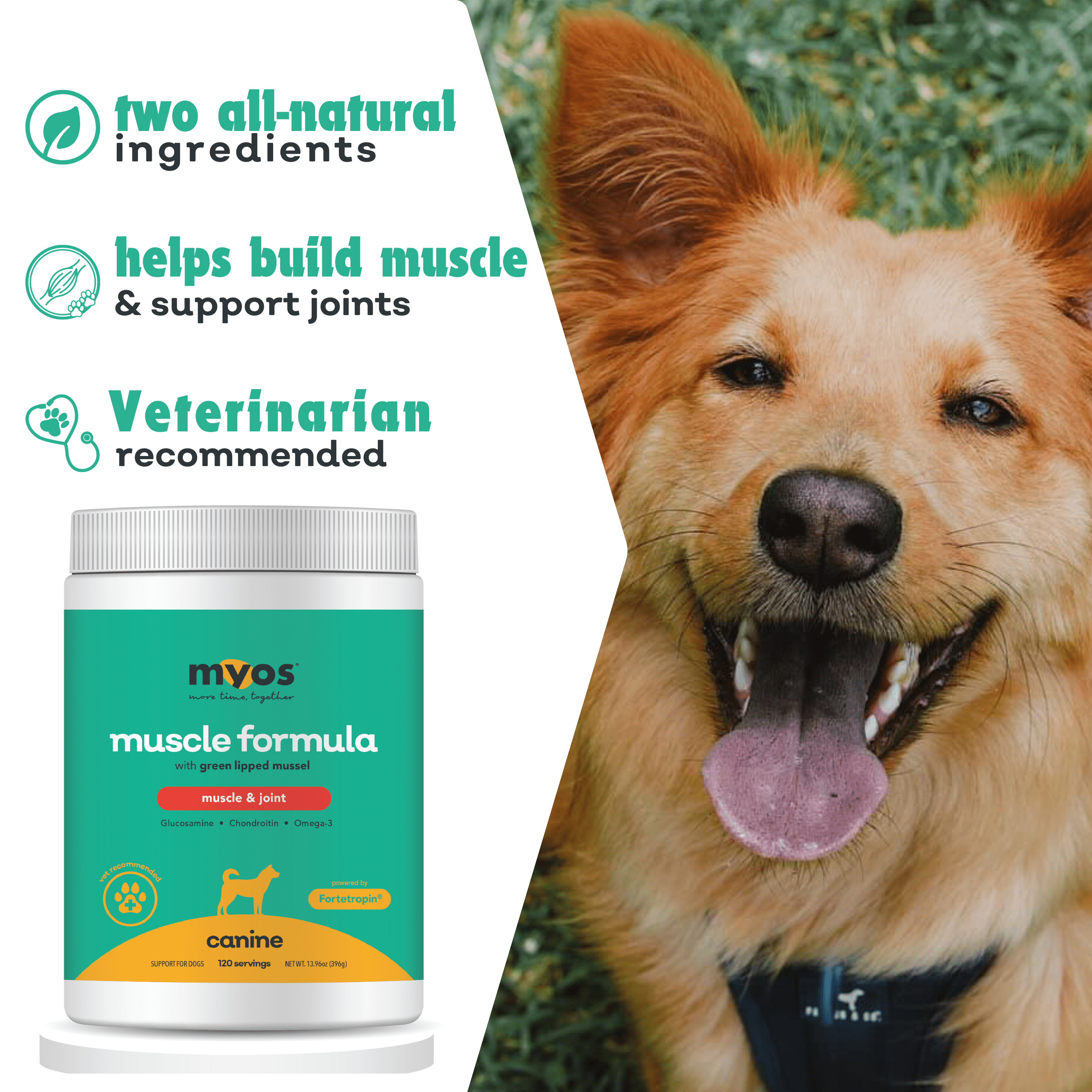 Canine Muscle & Joint Formula 396 g Dog Supplements myospet.com 