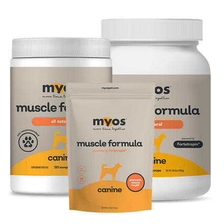 Canine Muscle Formula Dog Supplements Myos Pet 