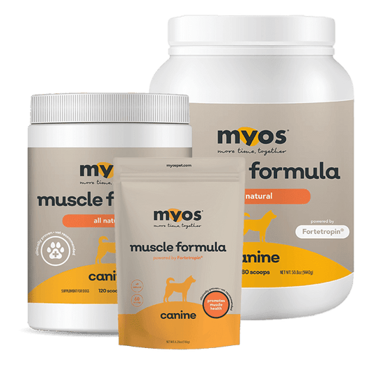 Canine Muscle Formula Dog Supplements myospet.com 