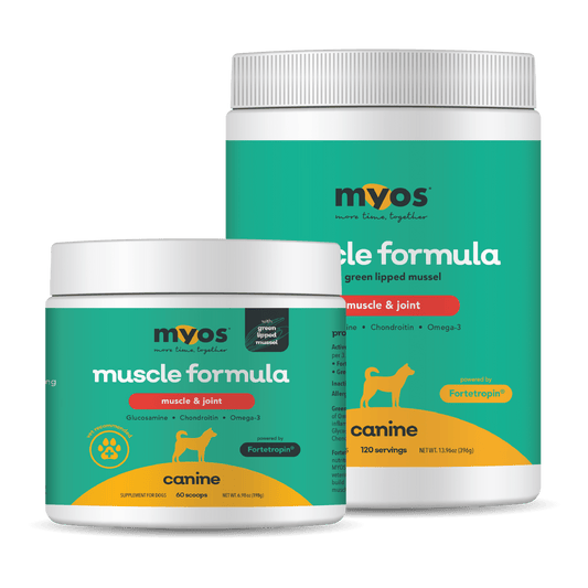 Canine Muscle & Joint Formula Dog Supplements Myos Pet 