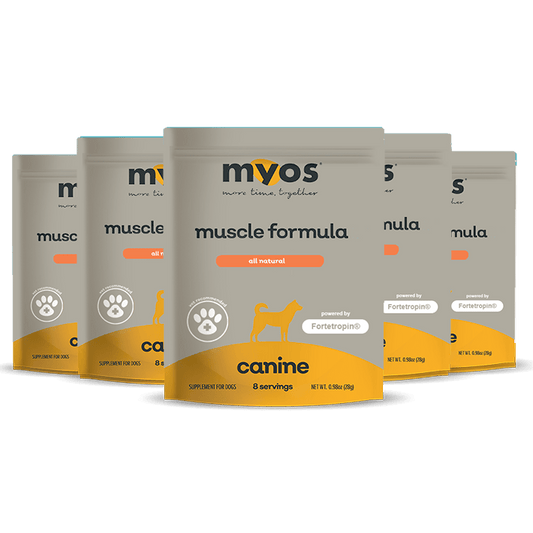 MYOS Canine Muscle Formula Samples Pet Supplies Myos Vet 