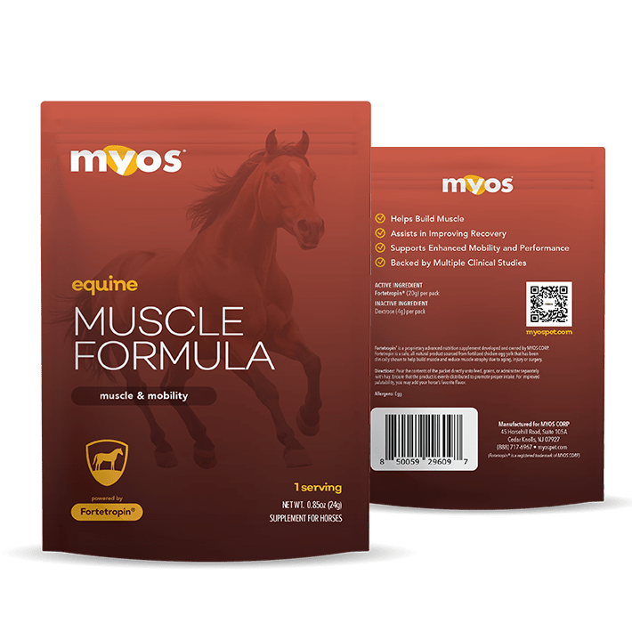 Equine Muscle Formula Equine Myos Pet 