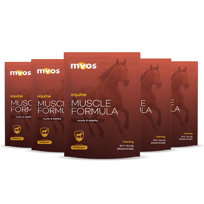 Equine Muscle Formula 6 Pack Sampes Equine Myos Pet 