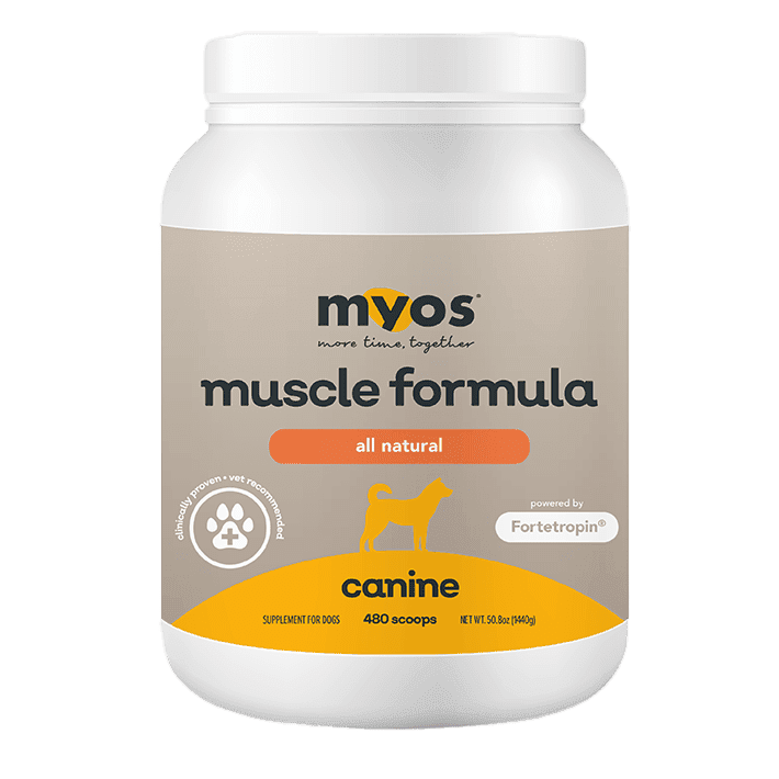 JUMBO MYOS Canine Muscle Formula Dog Supplements myospet.com