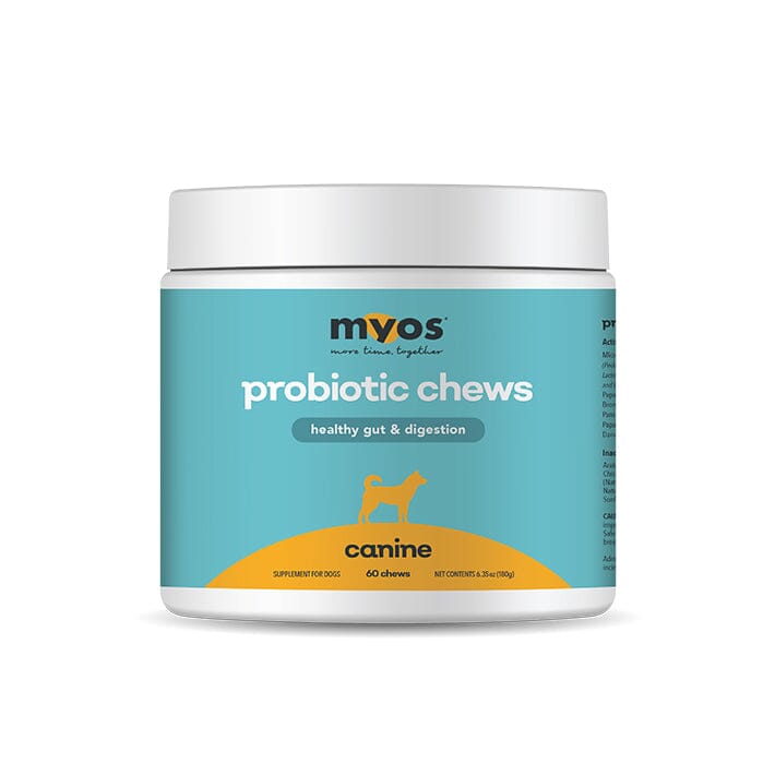 Canine Probiotic Chews Dog Supplements Myos Pet 